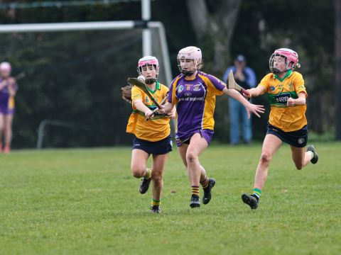 Camogie