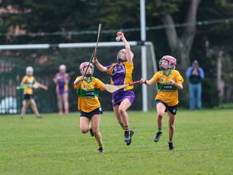 Camogie