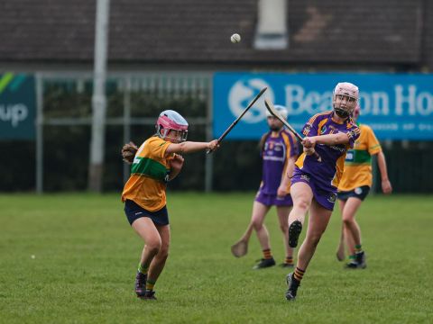 Camogie