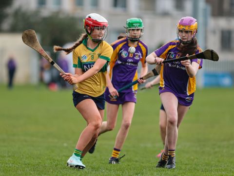 Camogie