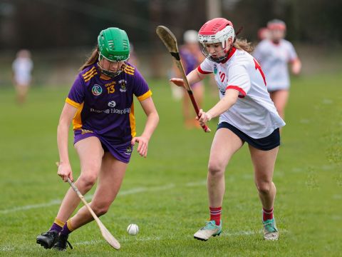 Camogie