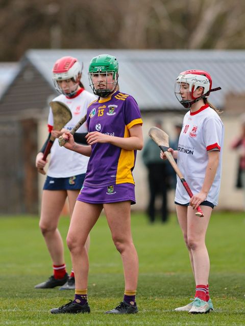 Camogie