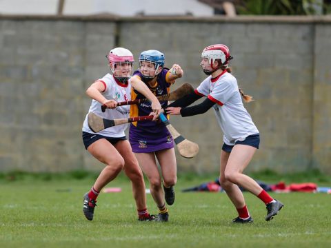 Camogie