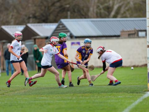 Camogie