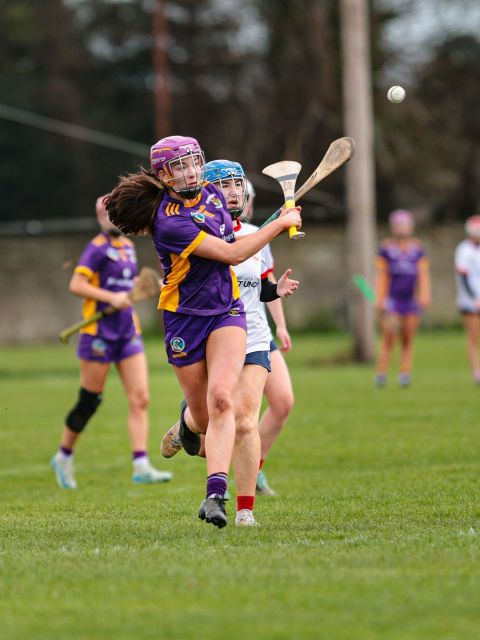 Camogie