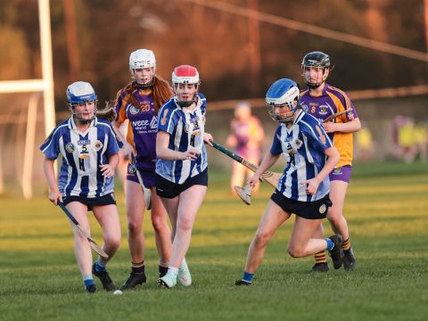 Camogie 