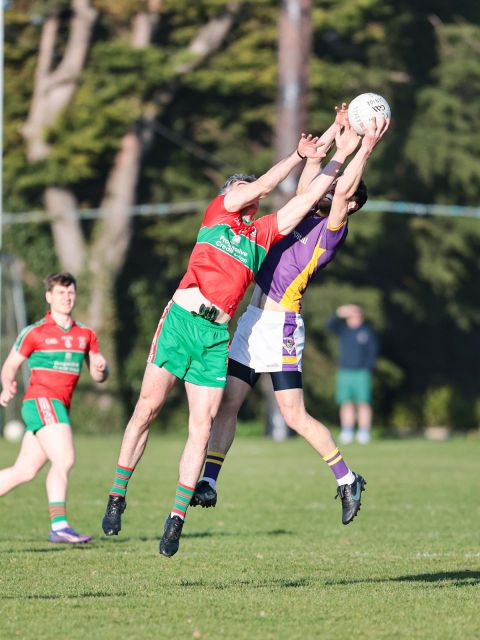 high catch