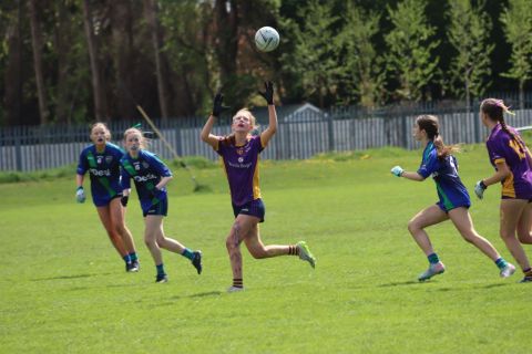 Feile