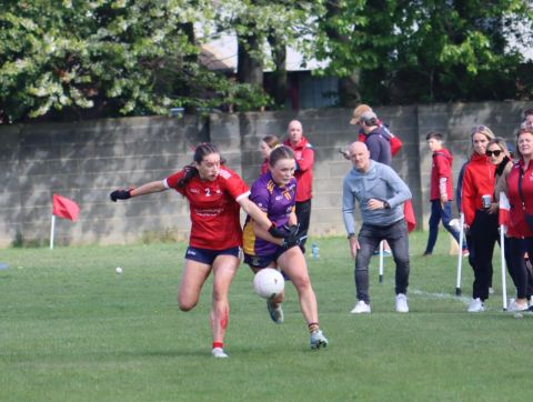 Feile