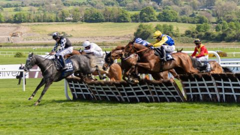 Punchestown 2025