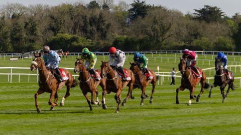 Punchestown 2025