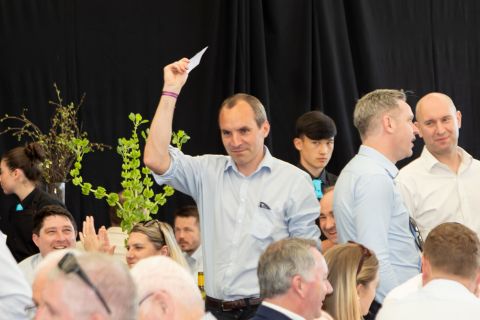 Punchestown 2025 - Auction & Raffle