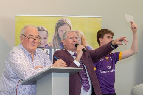 Punchestown 2025 - Auction & Raffle