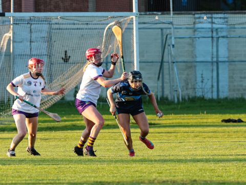 Camogie