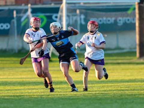 Camogie