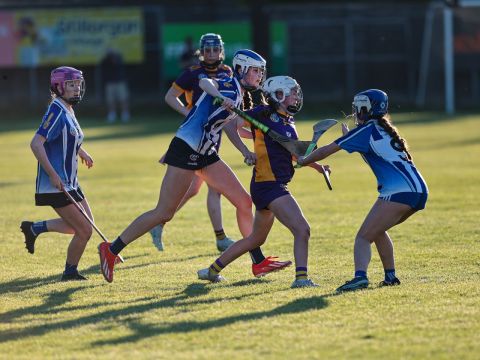 Camogie
