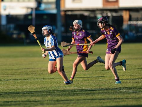 Camogie