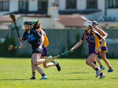 Camogie 