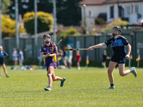 Camogie 