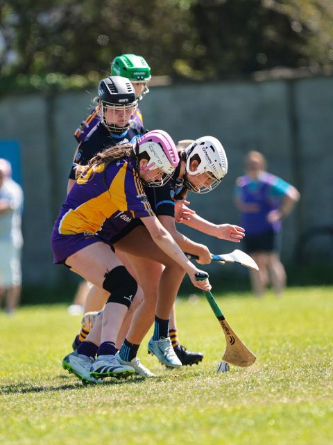 Camogie 