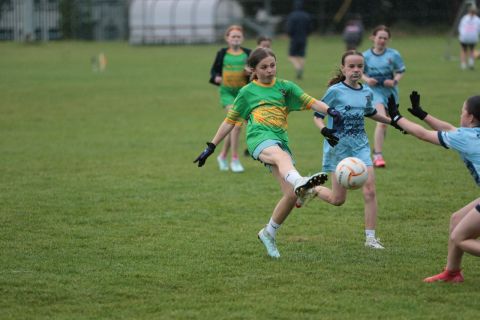 Mini All Ireland Ladies football