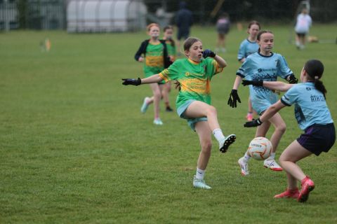 Mini All Ireland Ladies football