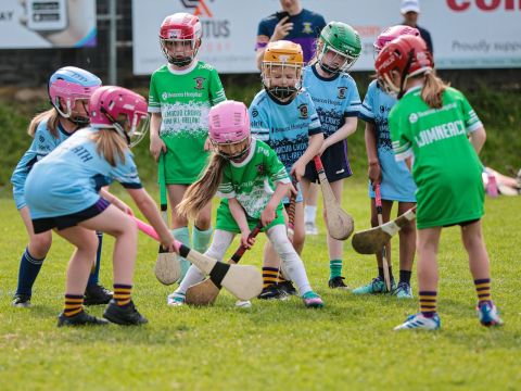 Camogie