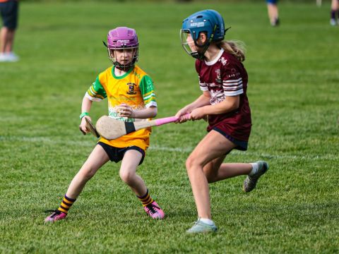 Camogie