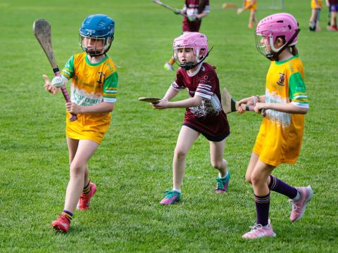 Camogie
