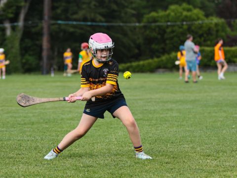 Camogie 