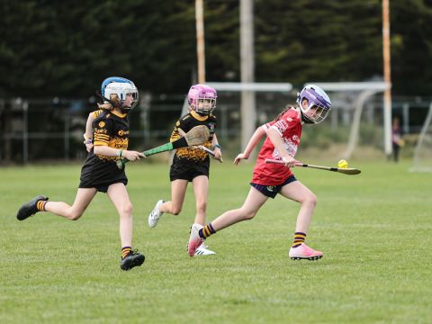 Camogie 
