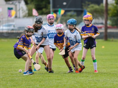 Camogie 
