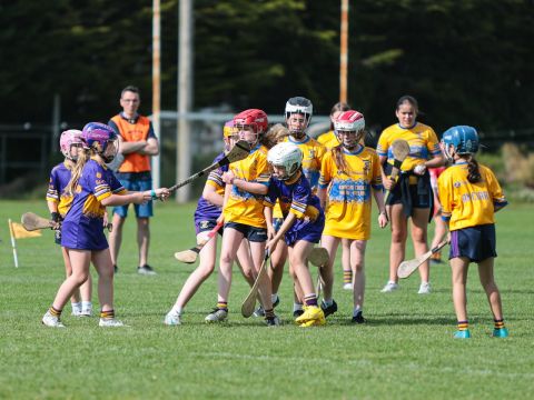 Camogie 