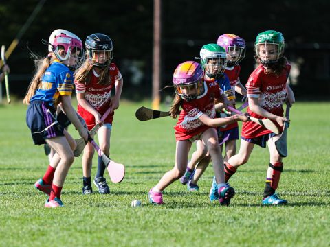 Camogie