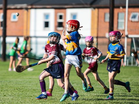 Camogie