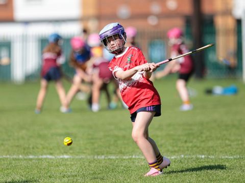 Camogie