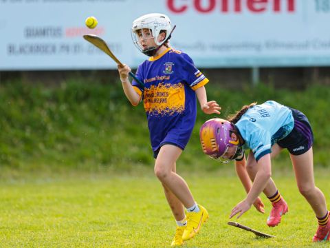 Camogie