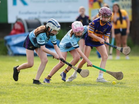Camogie