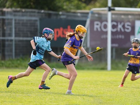 Camogie