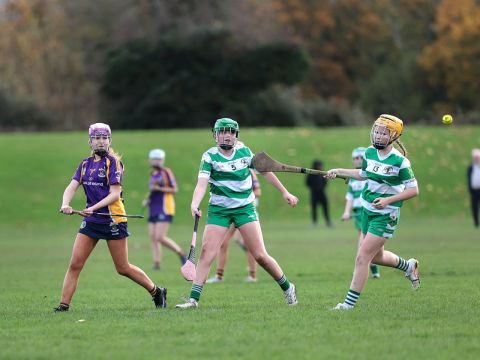 Action shot