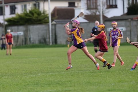 Action shot