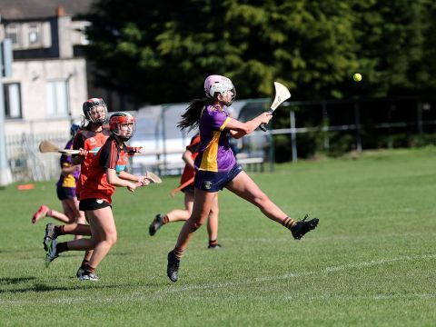 Action shot