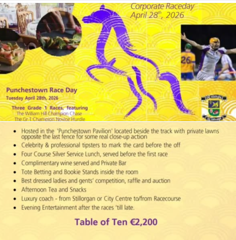 punchestown 