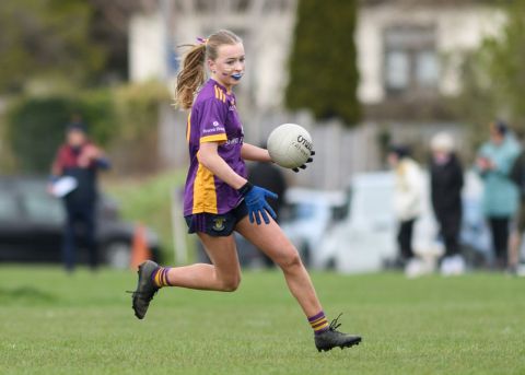Crokes player running with the ball