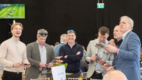 Punchestown 2026