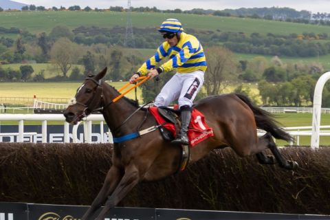 Punchestown 2026