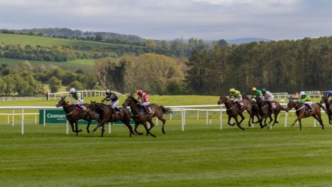 Punchestown 2026