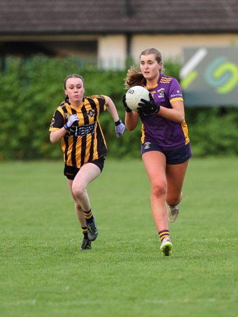 Kilmacud full back runs out with the ball