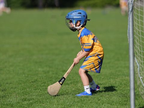 goalie