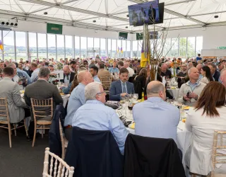 Punchestown 2026
